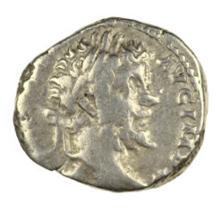 Septimius Severus Denarius Paci Aeternae
