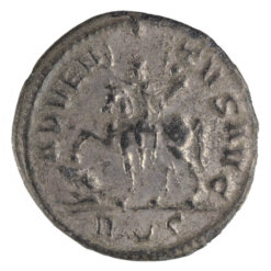 Probus Antoninianus Adventus Avg