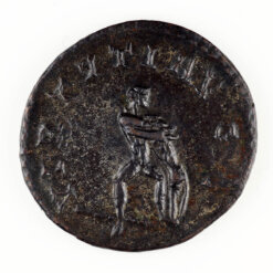 Maximianus Antoninianus RIC 454